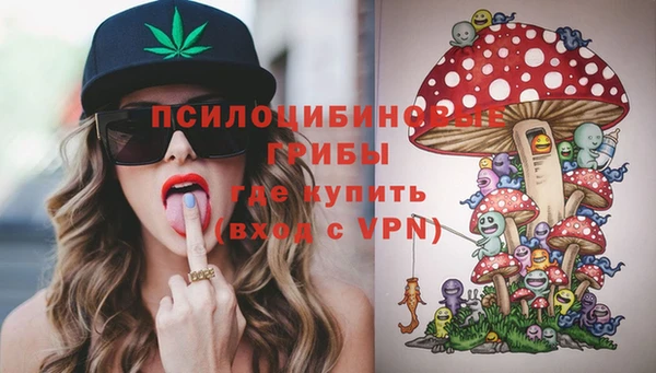дурь Надым