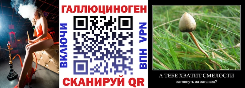 Галлюциногенные грибы Magic Shrooms  Мураши 